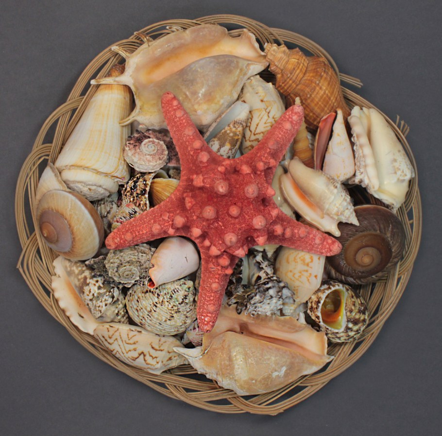 Декор морскими ракушками