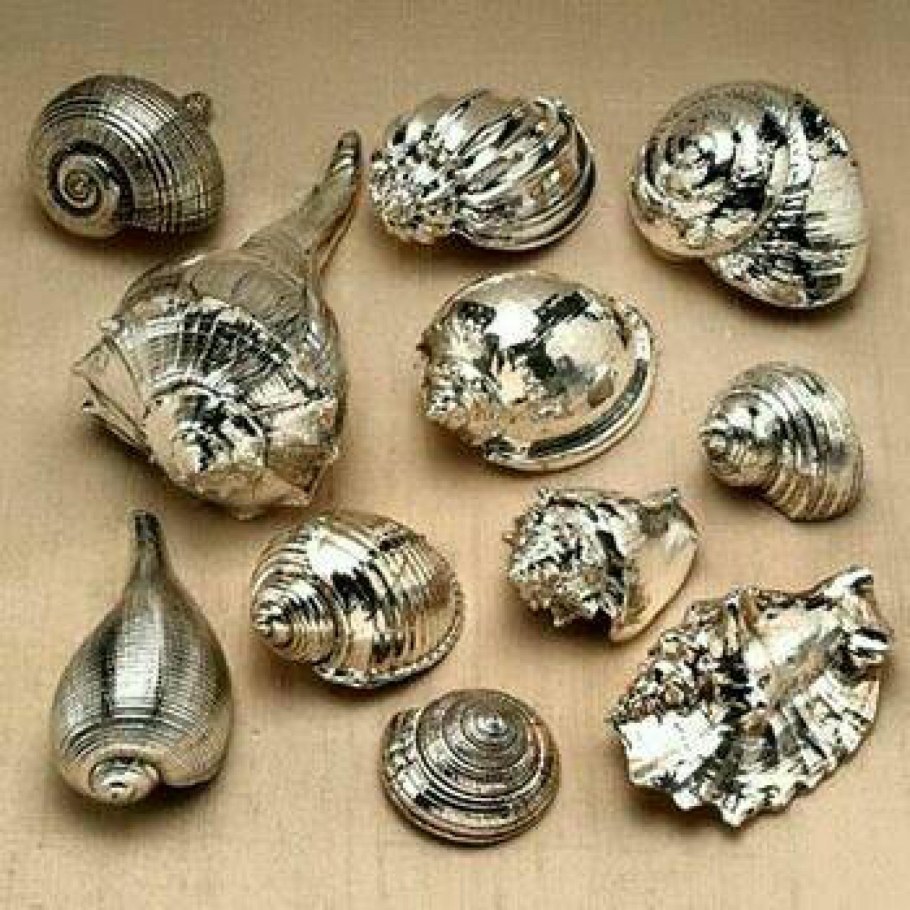 Речные ракушки декор