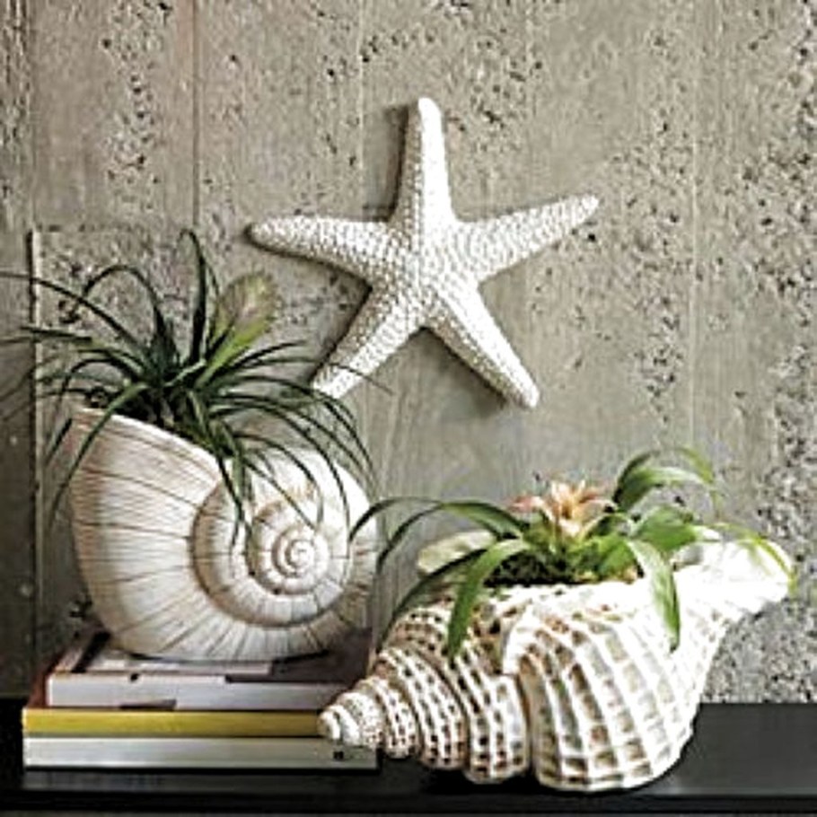Ракушки в интерьере
