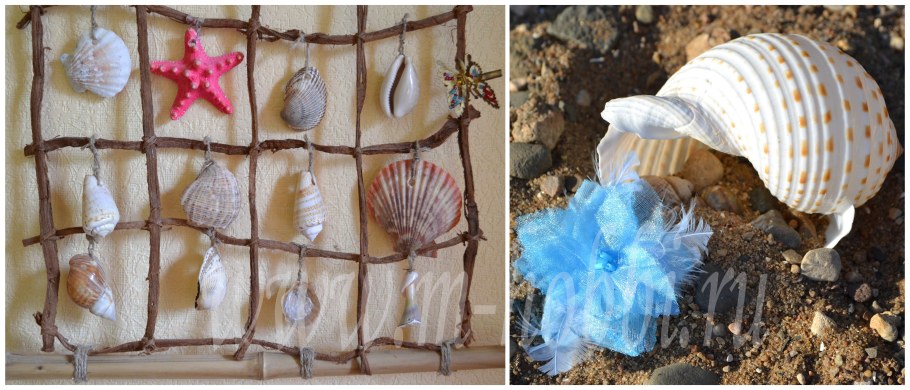 Ракушки рапаны в интерьере