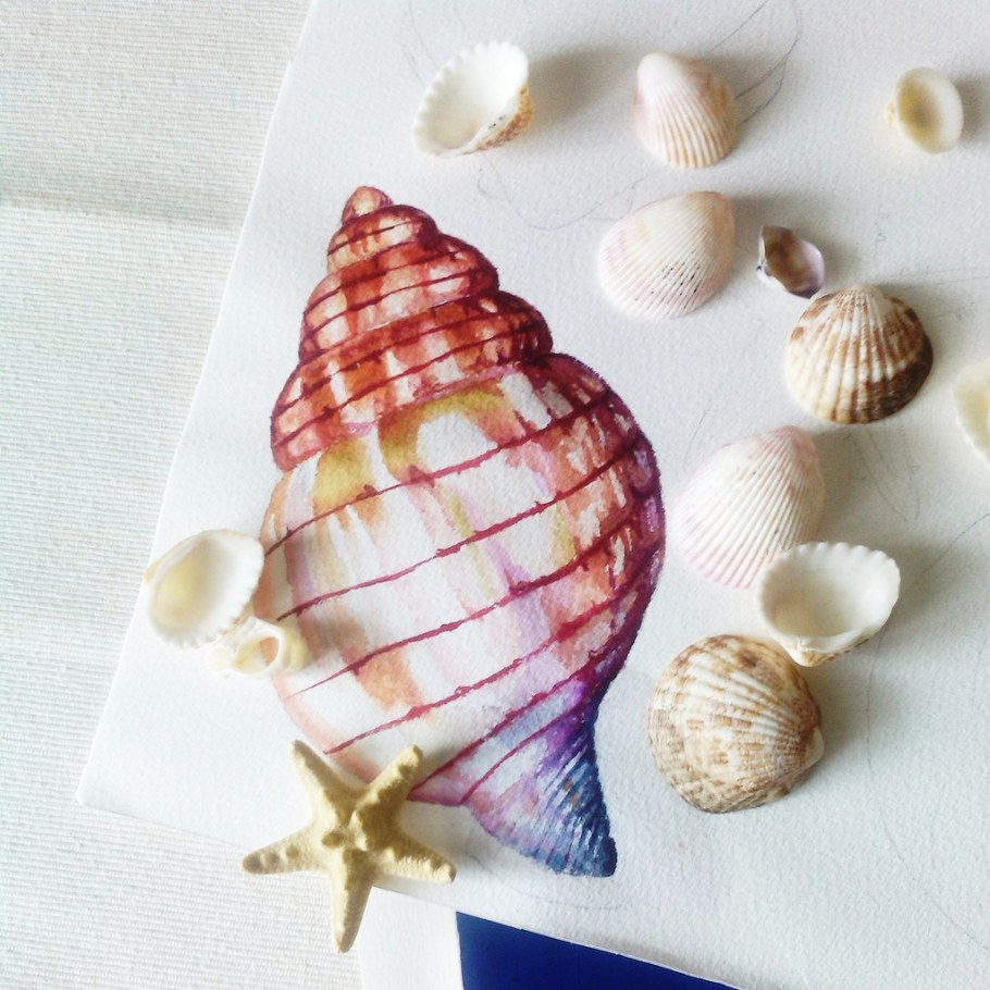 Ракушки Береники