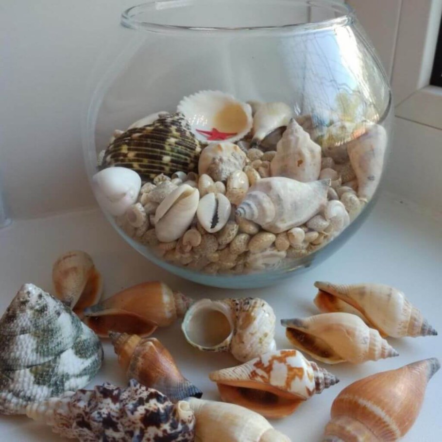 Ваза Ракушка