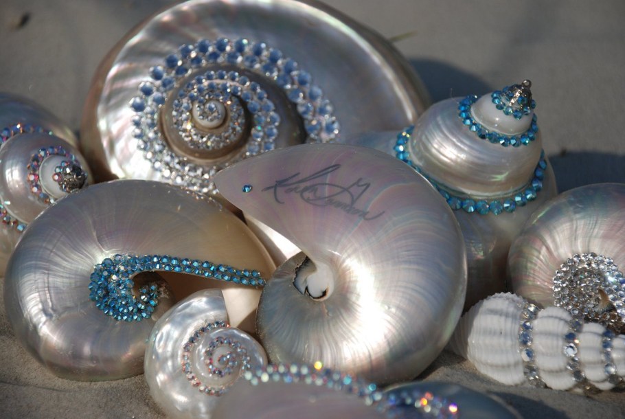 Украшения из раковин моллюсков