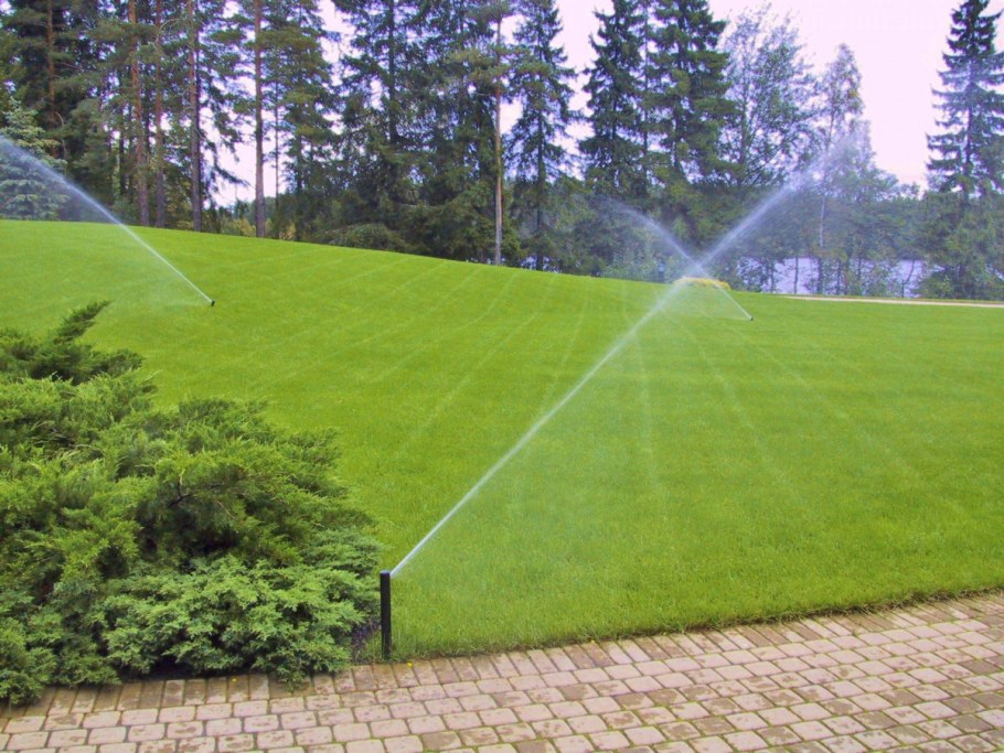 Газон универсальный