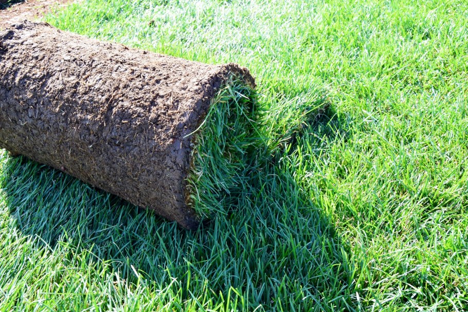 Рулонный газон "стандарт"