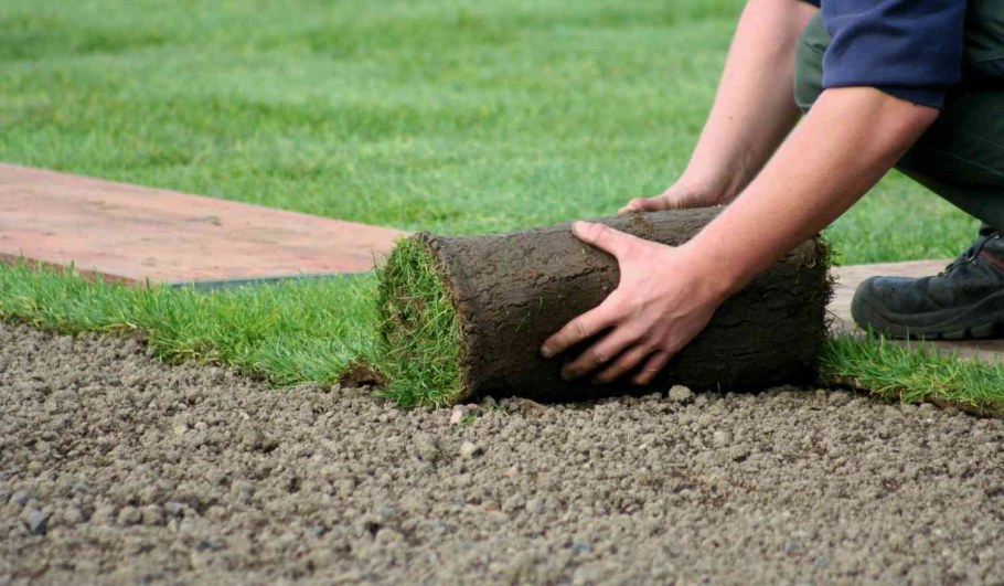 Раскатной газон