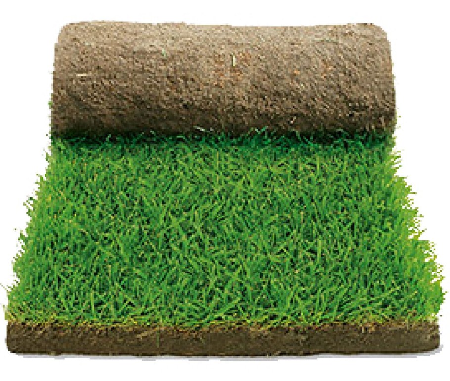 Газон рулонный в Леруа Мерлен