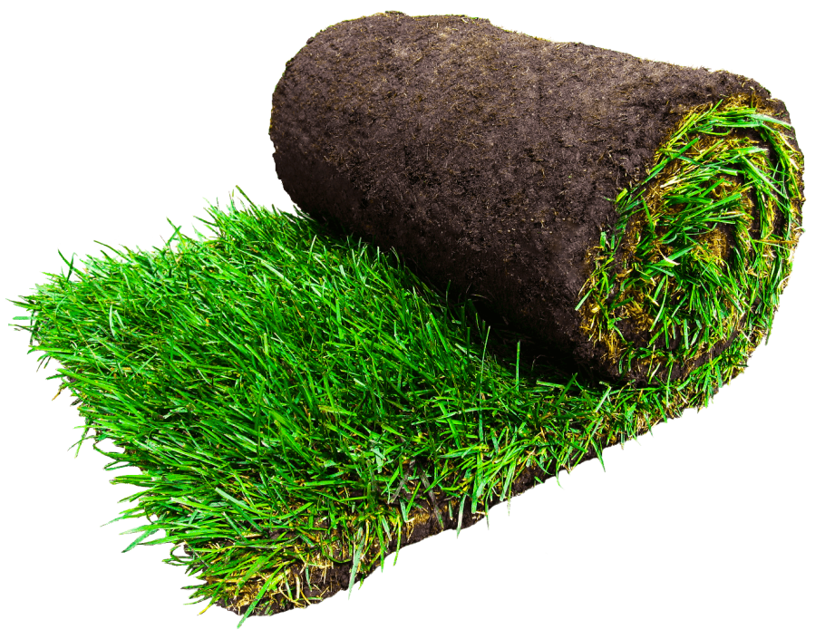 Газон рулонный 1м2