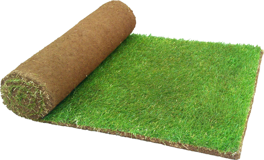 Газонный рулон