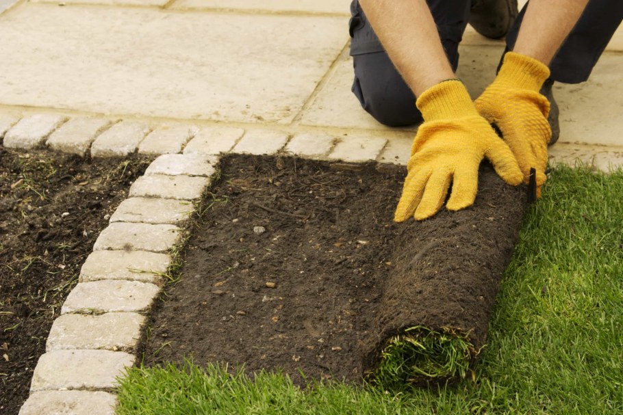 Конструкция рулонного газона