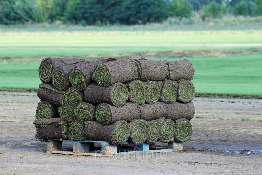 Рулонный газон на паллетах