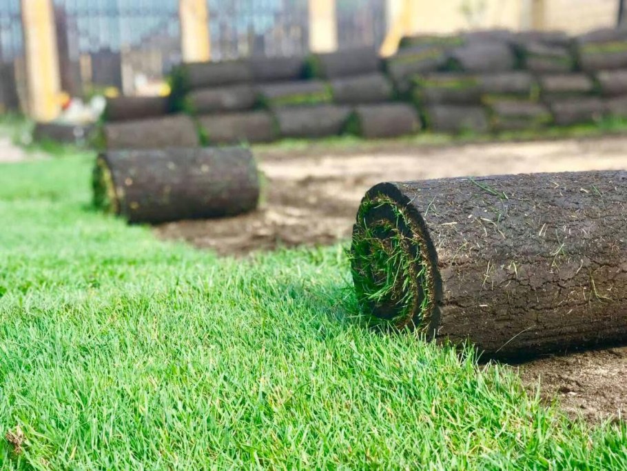 Рулонный газон "стандарт"