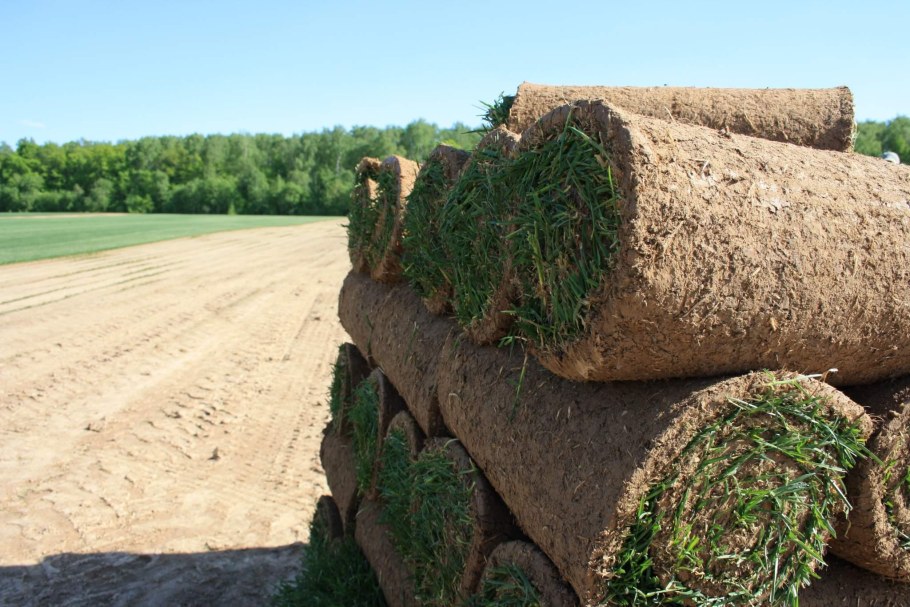 Скручивают газон в рулоны