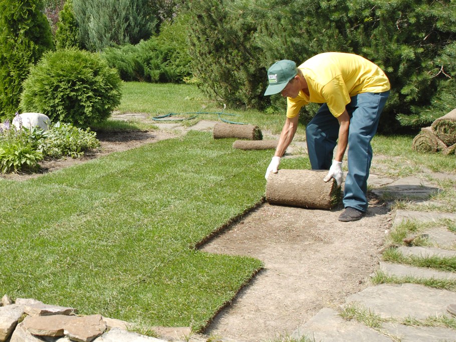 Рулонный газон под ключ