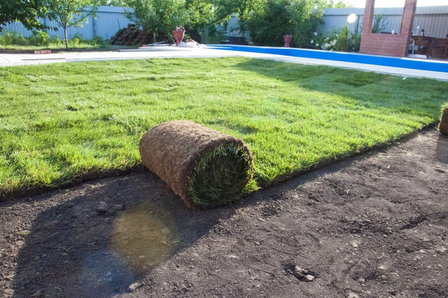 Конструкция рулонного газона