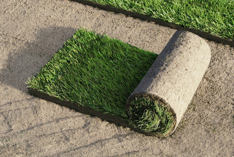 Срезать газон