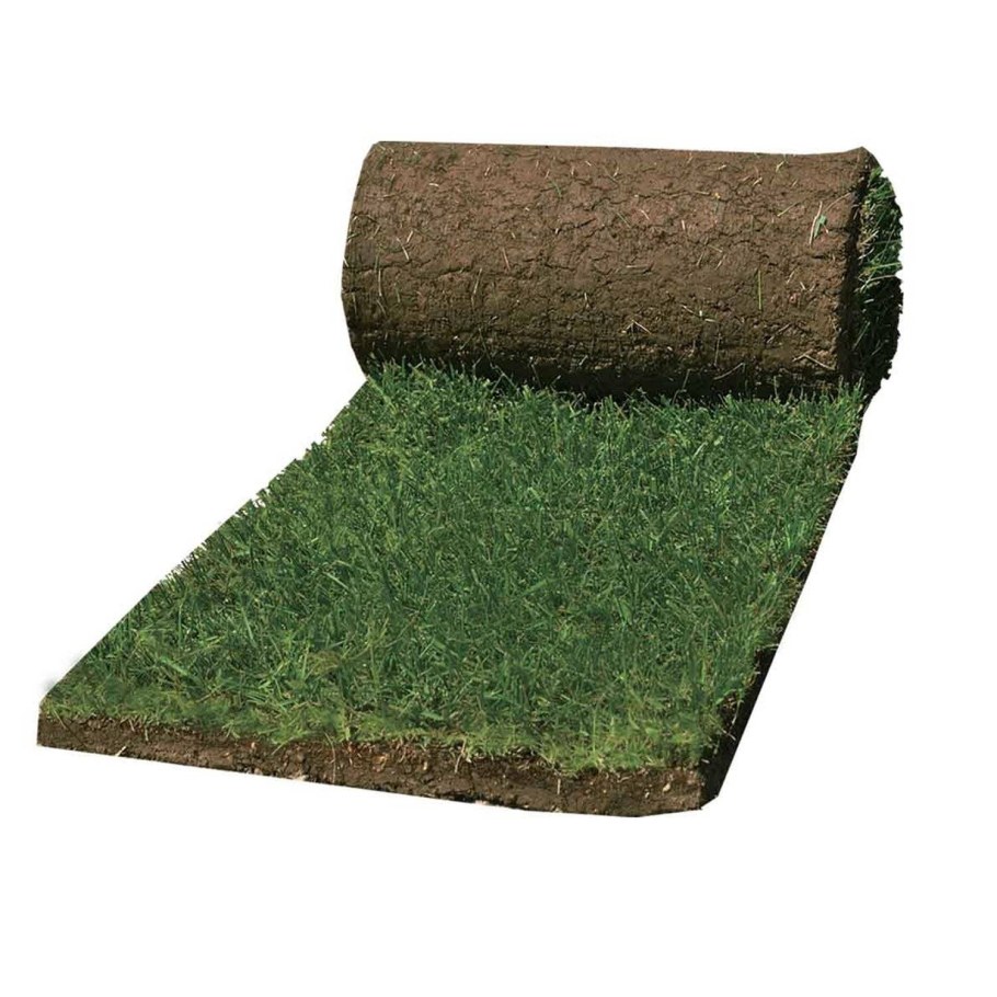 ГАЗОНCITY универсальный газон