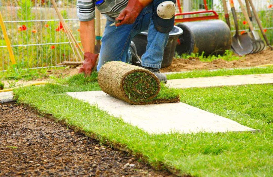 Рулонный газон на даче