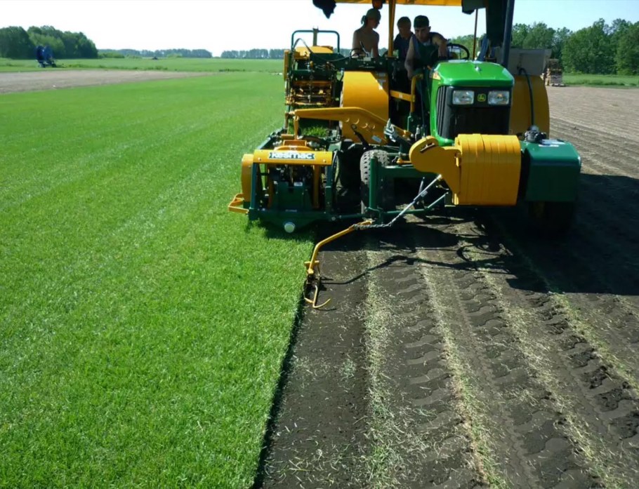 Срезка рулонного газона