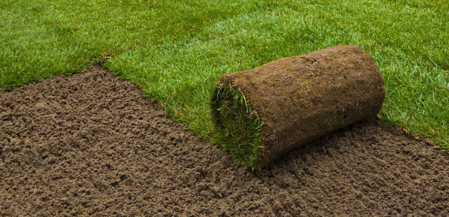 Натуральный газон