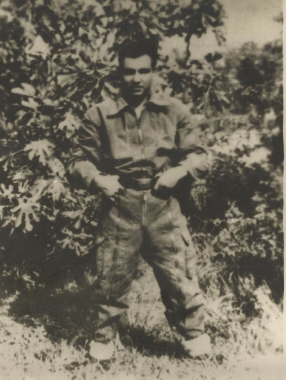 Мехти Гусейнзаде фото