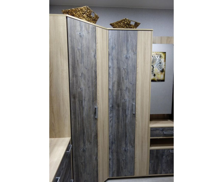 Шкаф купе дуб сонома сосна Джексон
