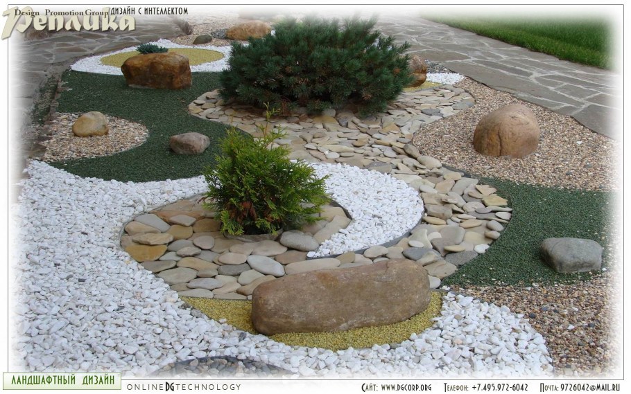 Каменистый сад злотолит