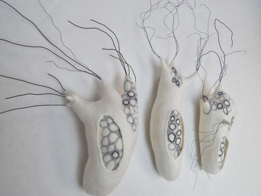 Андреа Грэхэма войлок