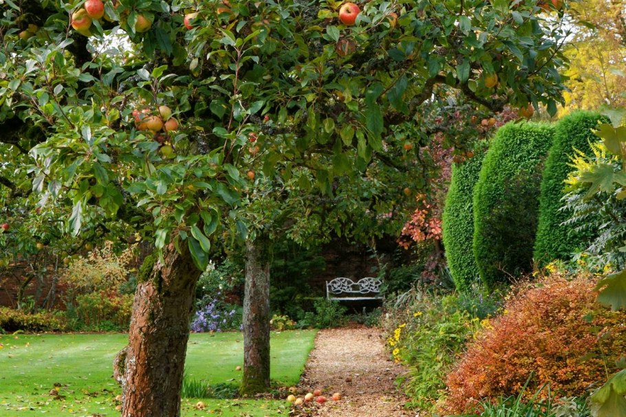 Аркадия Гарден плодовый сад