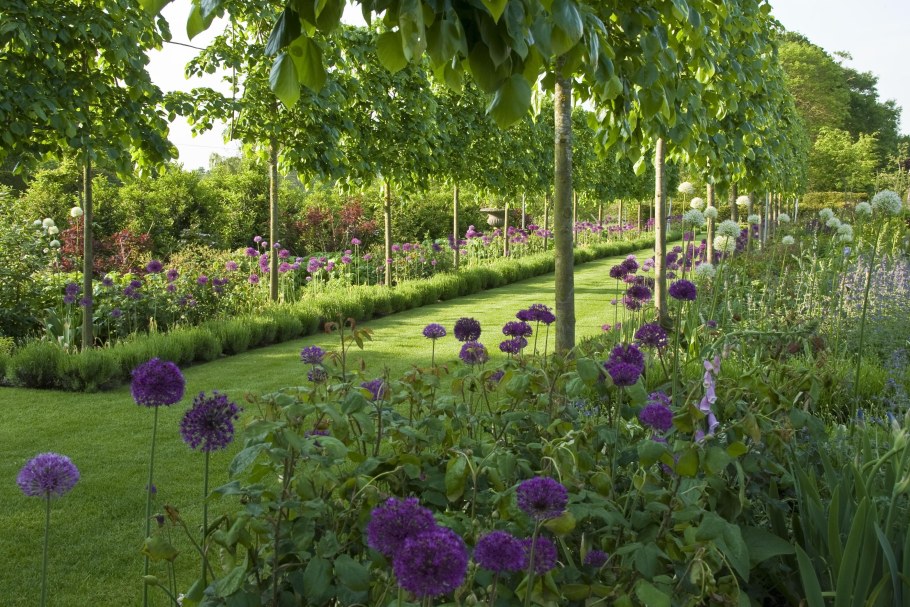 Плодовый сад в ландшафтном дизайне