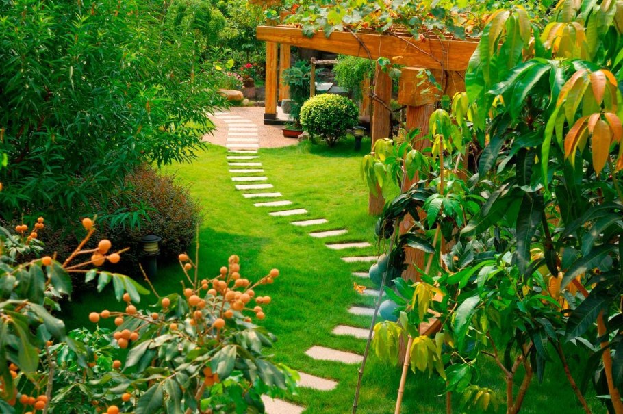 Красивый сад с фруктовыми деревьями