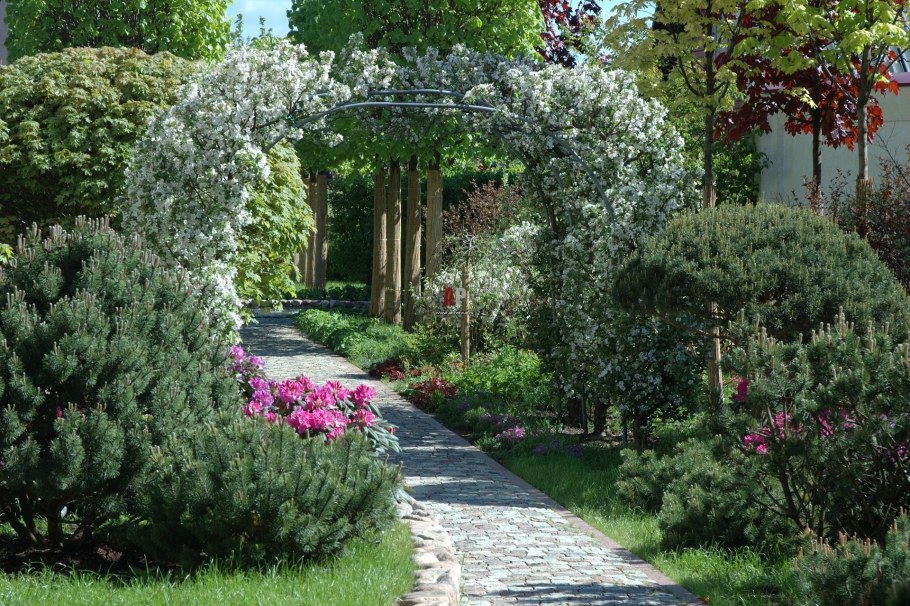 Плодовый сад в ландшафтном дизайне