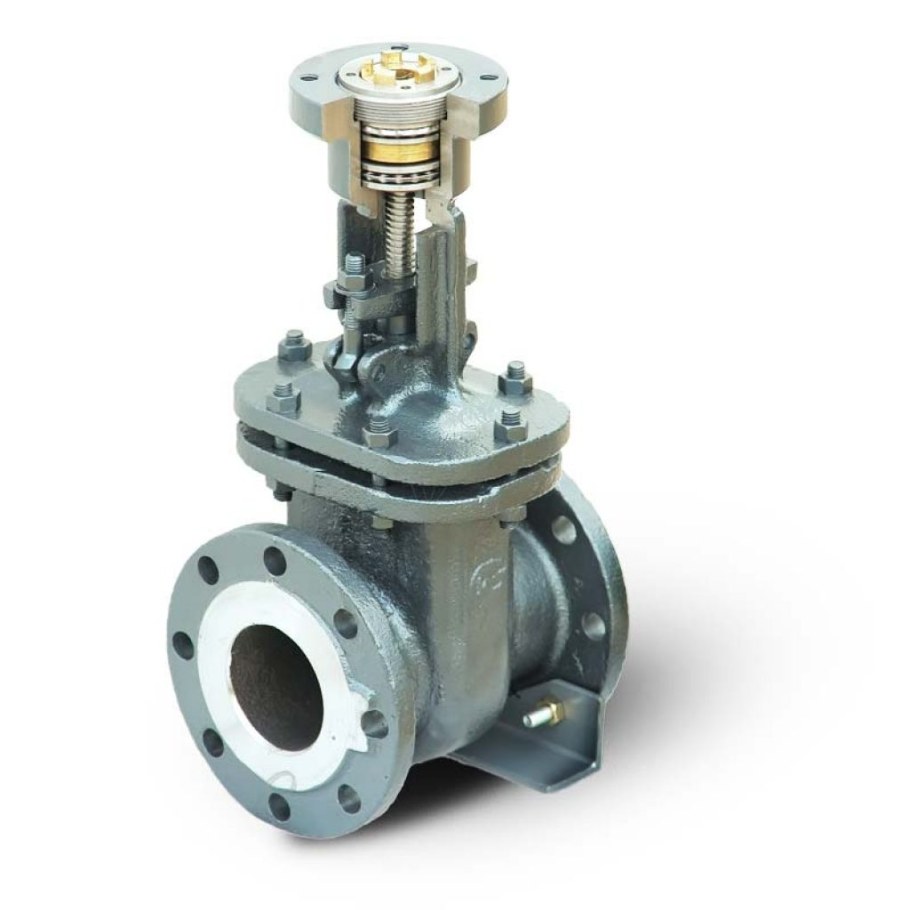 Задвижка 30с41нж