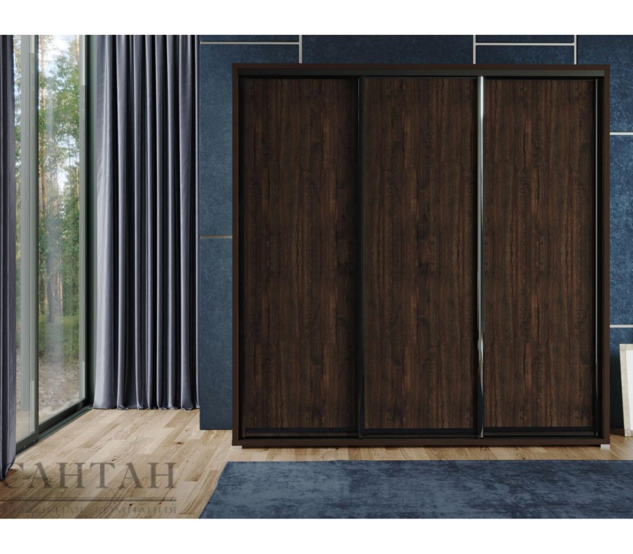 Шкаф купе Нео 24 24