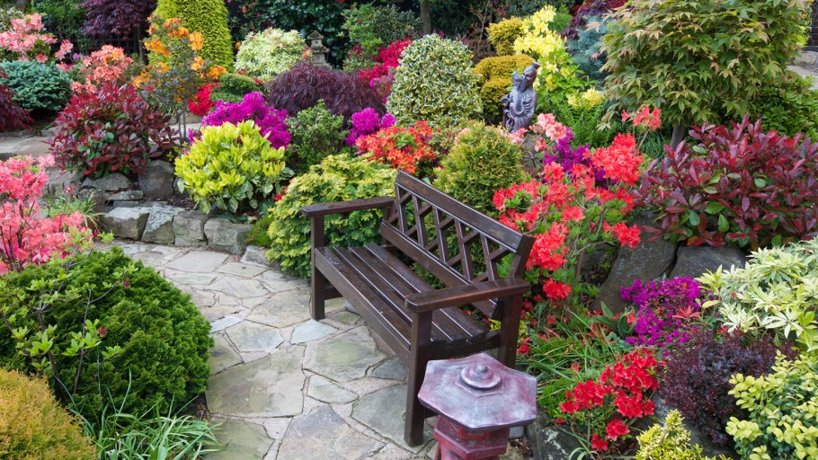 Цветы для сада и огорода