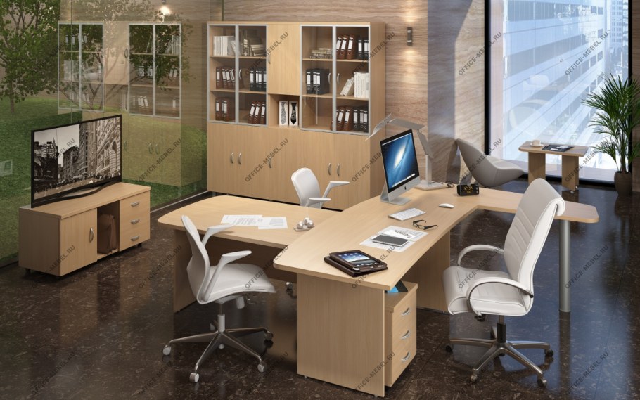 Кабинет руководителя Эталон