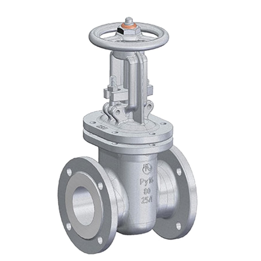 Задвижка клиновая с выдвижным шпинделем фланцевая 30с41нж ду50 ру16 ГАЗ