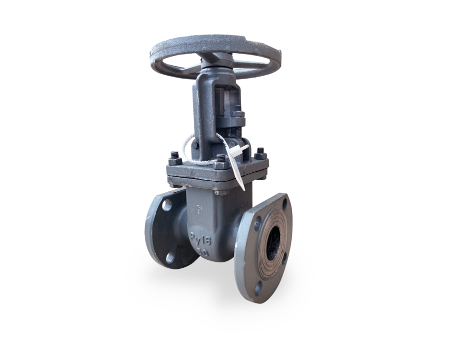 Задвижка стальная 30с41нж ду100 ру16