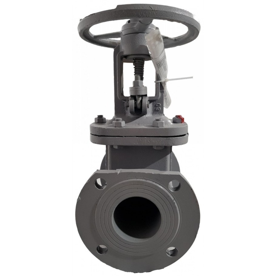 Задвижка 30с41нж ду100 ру16