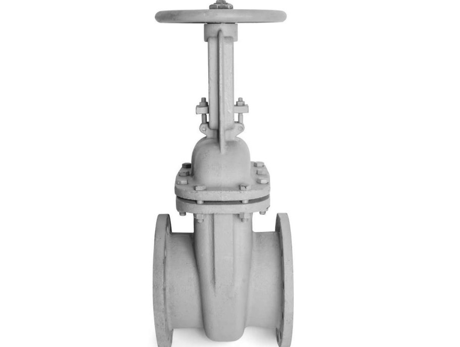 Задвижка 30с41нж 50 МЗТА