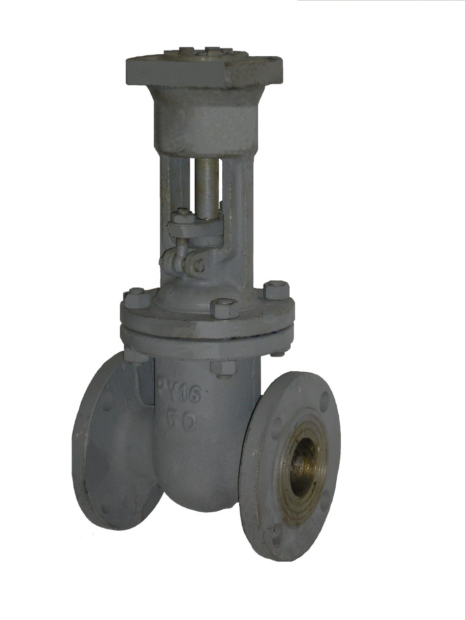 Задвижка 30с941нж dn600 pn16/h-г-03