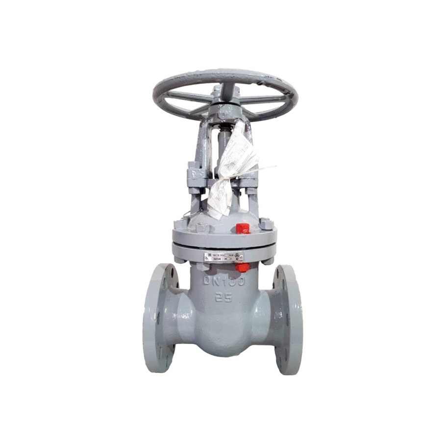 Циклон Ду 100