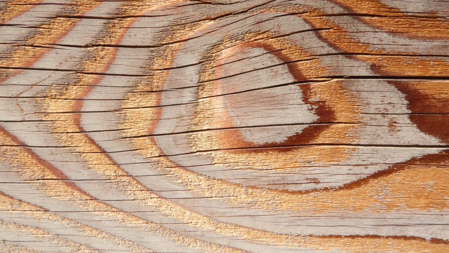 Пиломатериалы текстура