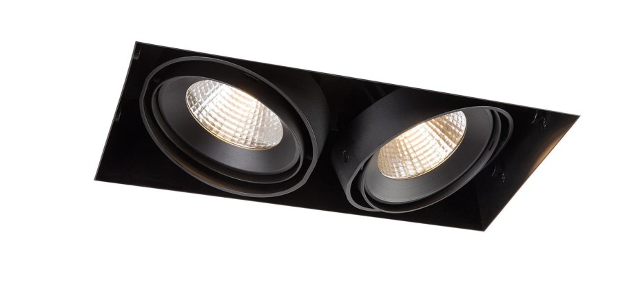 Карданный светильник LDS-12111-30w*2b