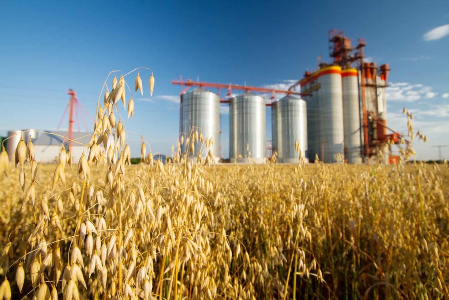 Аграрно- промышленный комплекс РФ