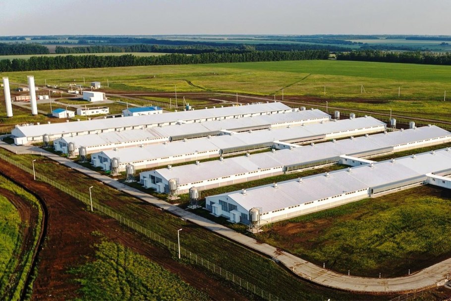 Воронежская область Павловский аграрный комплекс