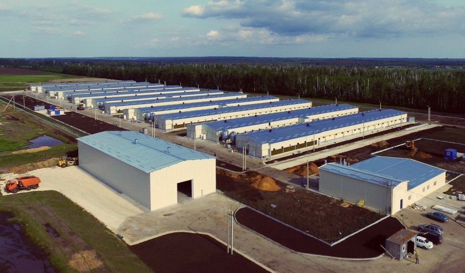 Птицефабрика Черкизово Липецк