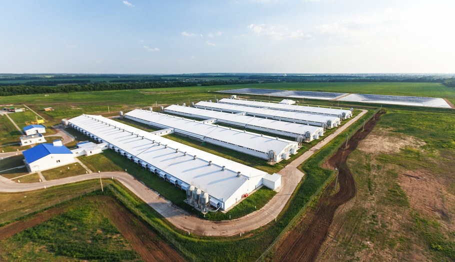 Свинокомплекс АГРОЭКО Воронеж