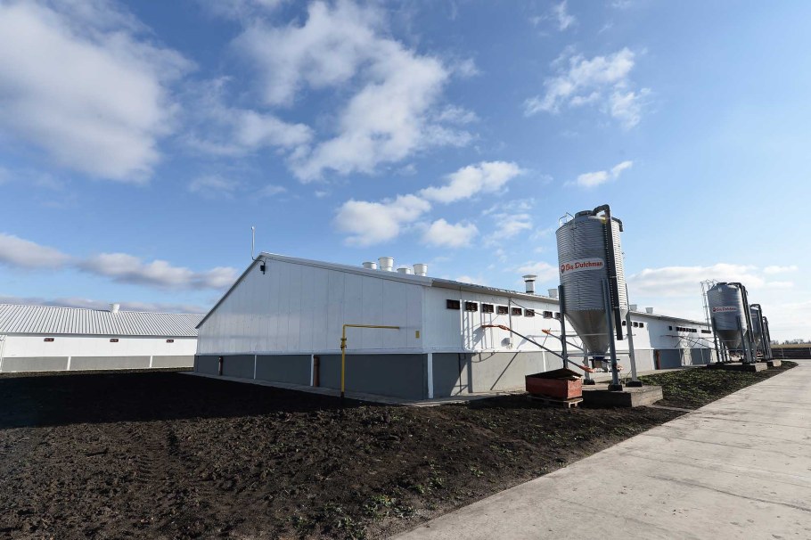 Свинокомплекс АГРОЭКО В Воронежской области