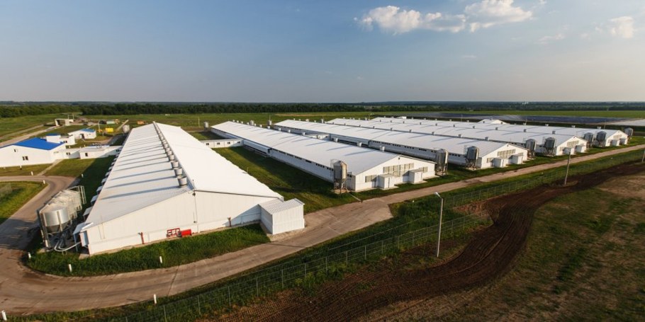 Сельскохозяйственные здания